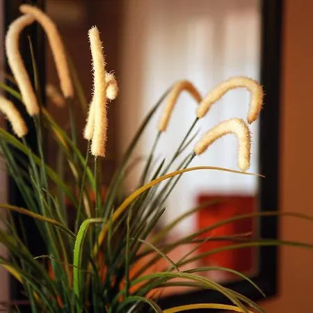 阿金套房酒店 伊斯坦布尔