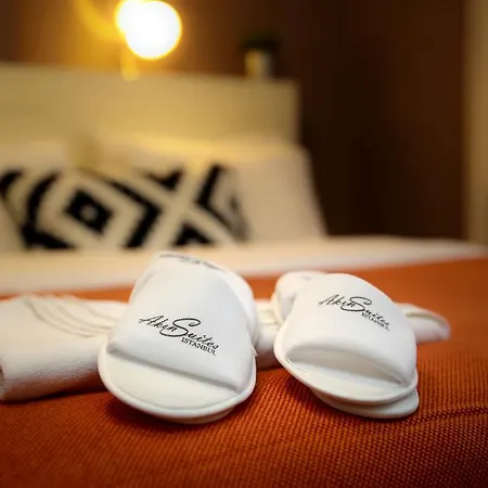 阿金套房酒店 4* 伊斯坦布尔