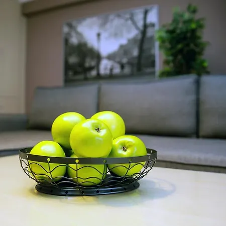 阿金套房酒店 4* 伊斯坦布尔