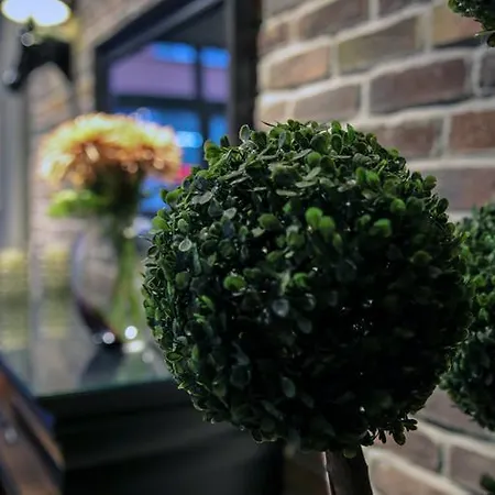 阿金套房酒店 4*