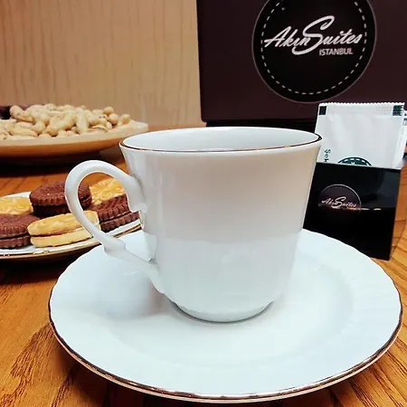 阿金套房酒店 公寓式酒店 伊斯坦布尔